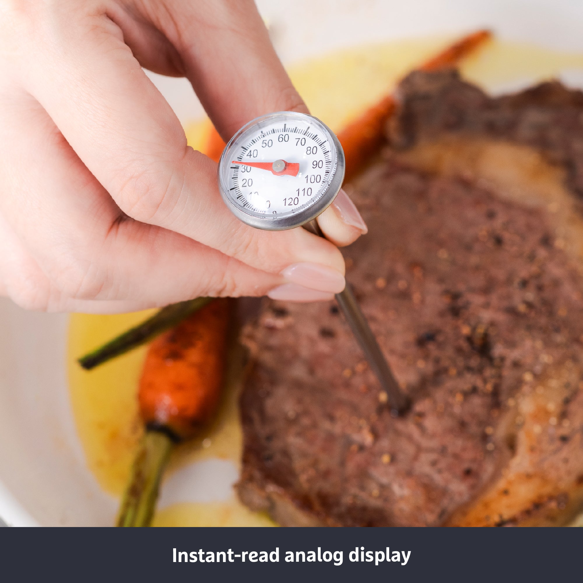 PRESTIGE MEAT THERMOMETER เครื่องวัดอุณหภูมิเนื้อสัตว์  (50618-C)