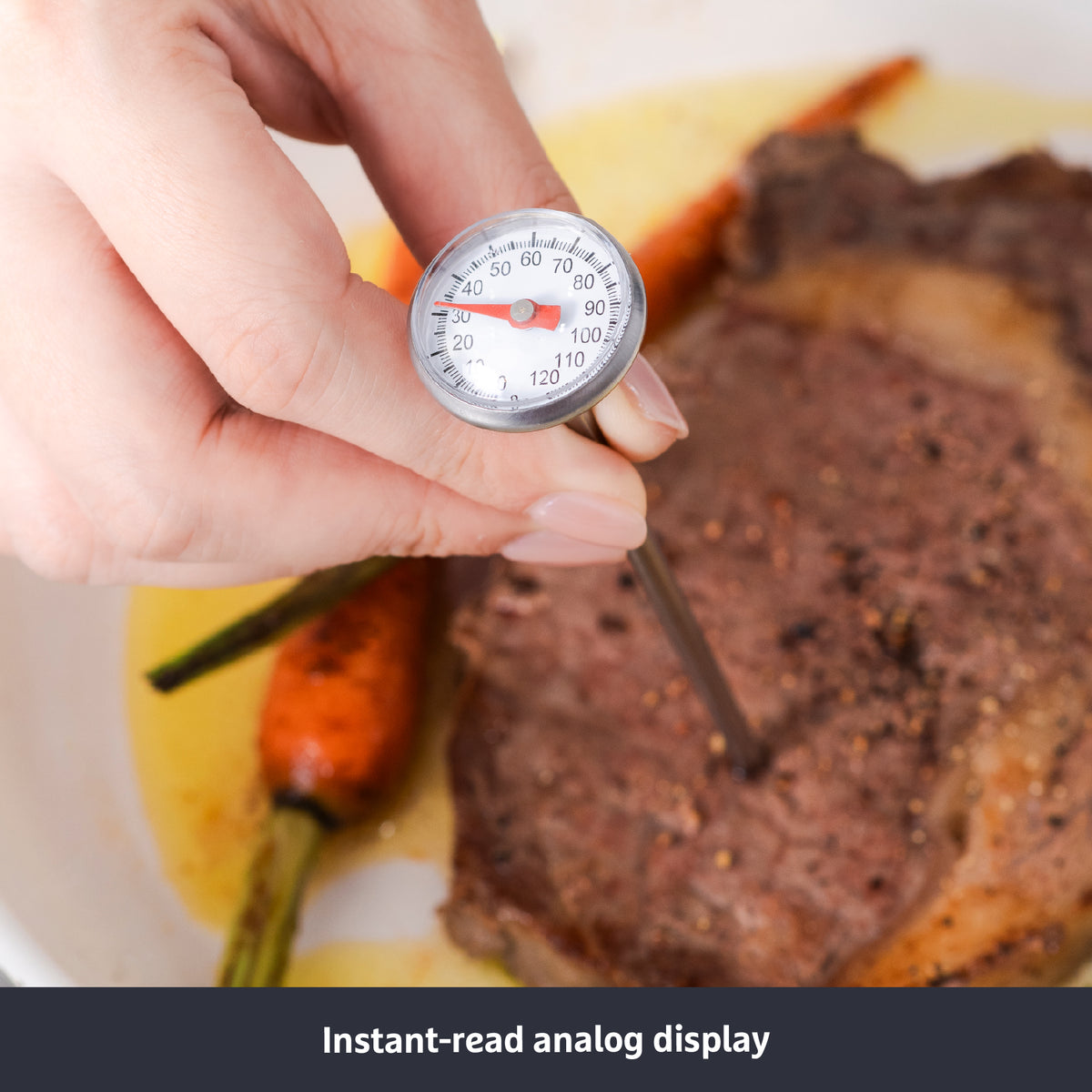 PRESTIGE MEAT THERMOMETER เครื่องวัดอุณหภูมิเนื้อสัตว์  (50618-C)