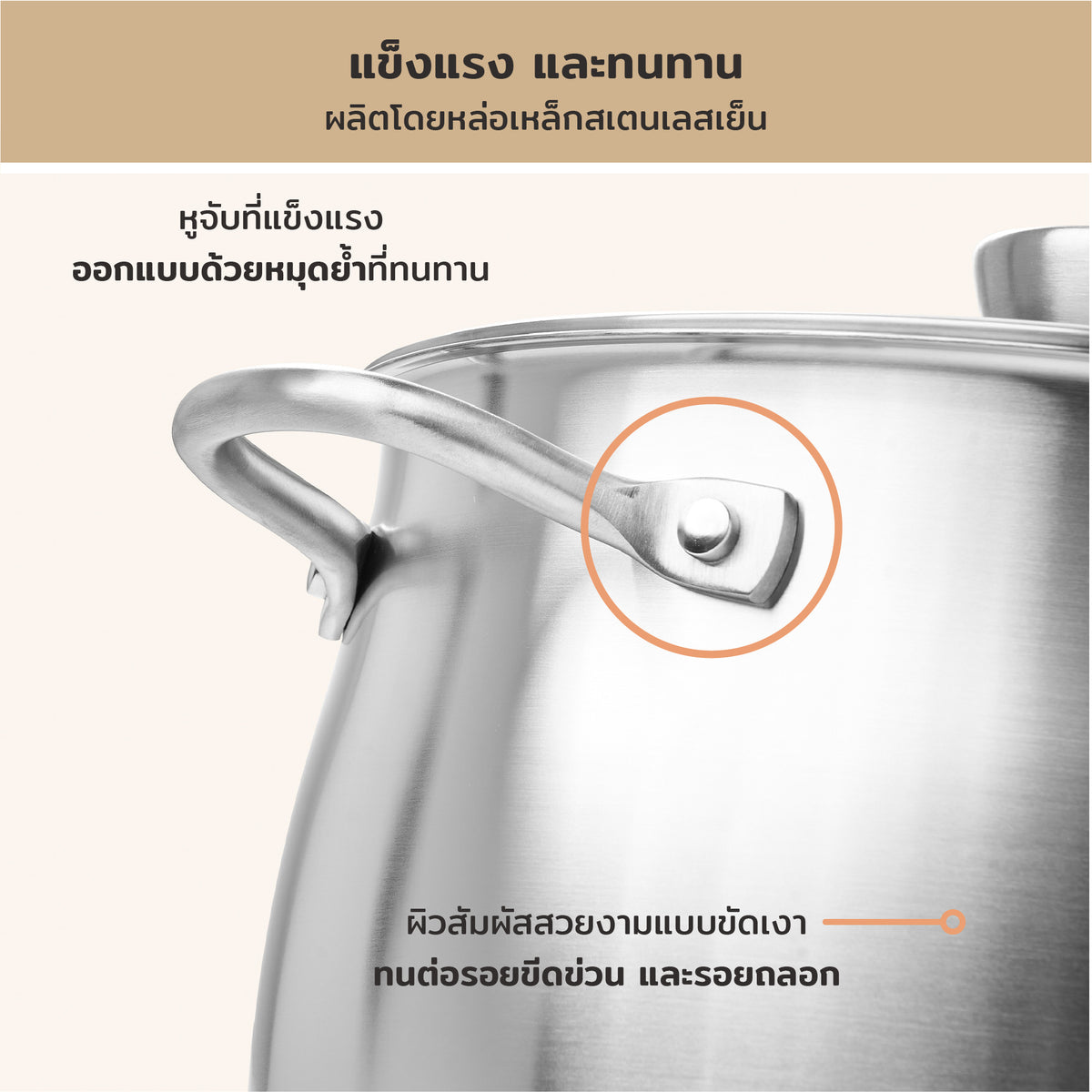 Pots - Meyer - stainless-steel, bestselling, bigsale, Meyer - white-steel, payday, Special Sale - MEYER white steel หม้อสแตนเลส ขนาด 20 ซม. | PotsandPans